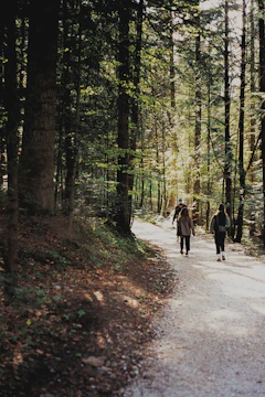 A serene family walk in nature with soft sunlight filtering through trees.