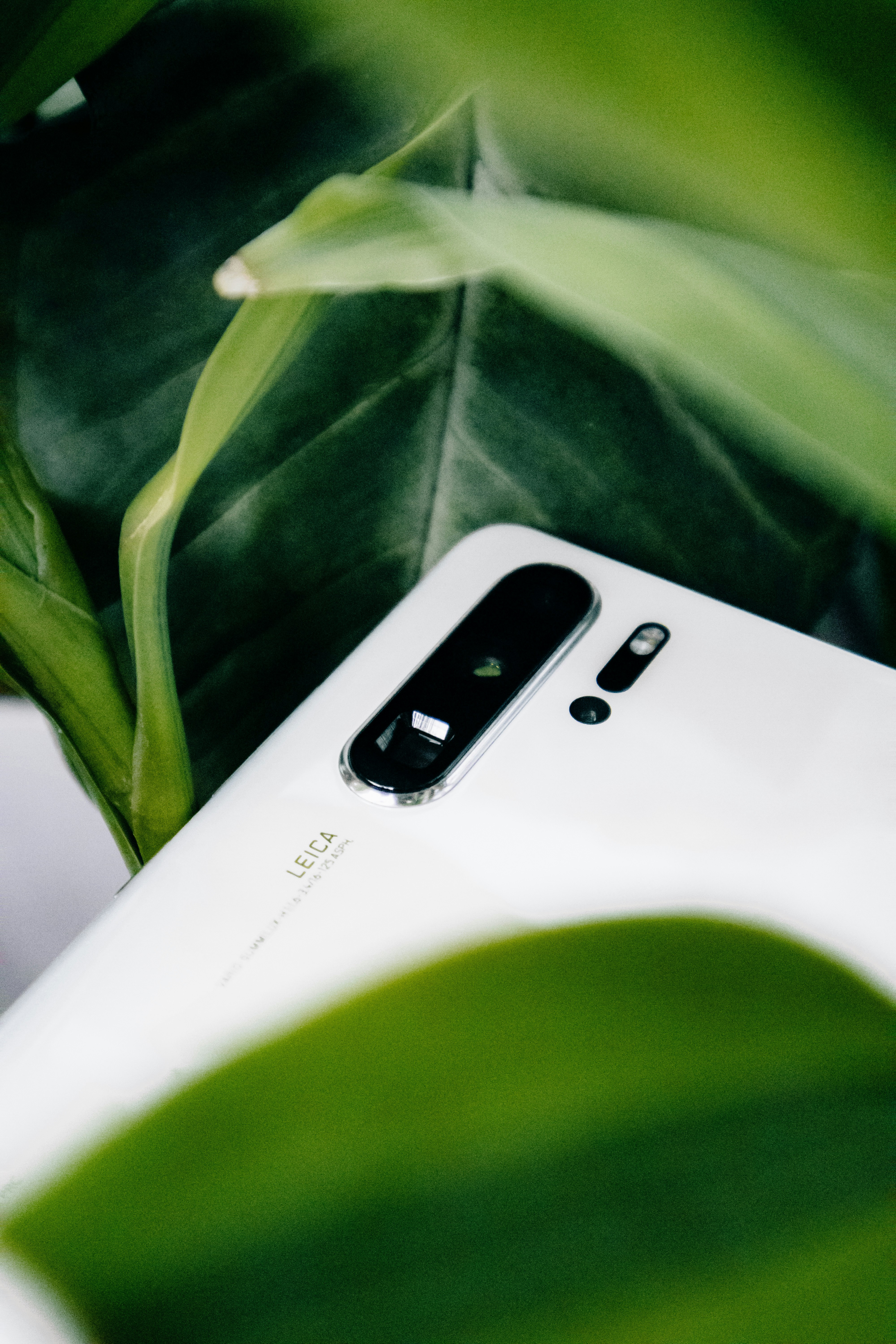 Photo by tareq_hasan