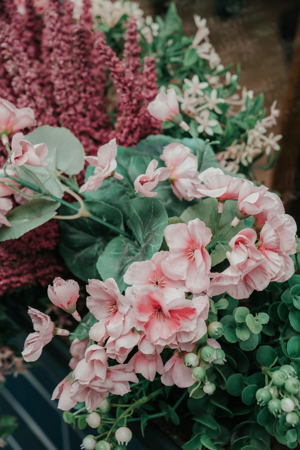 a bunch of pink flowers sitting next to each other