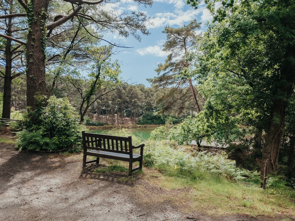 a wooden bench sitting in the middle of a forest