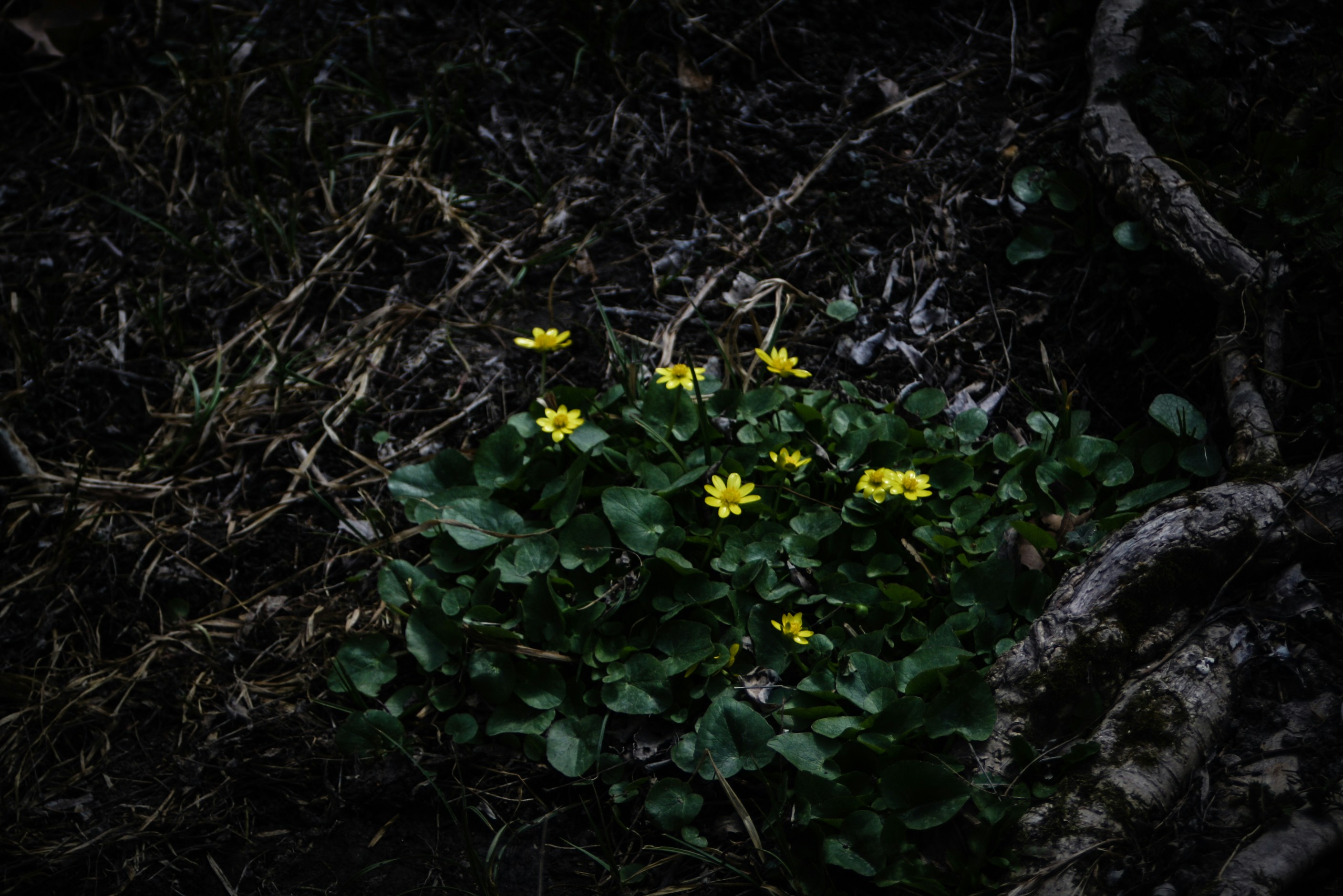 Photo by mimiivanova04