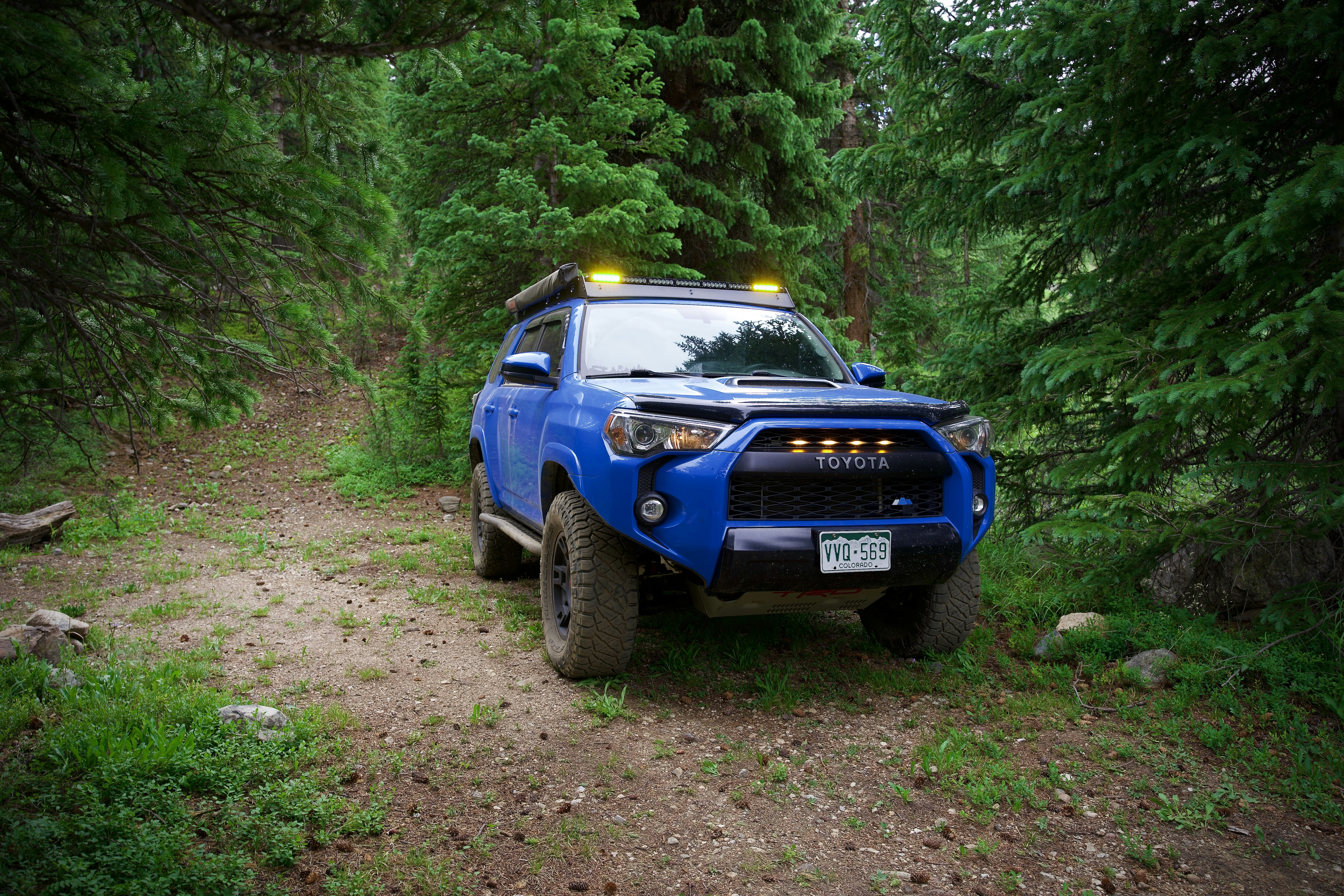 a blue truck parked in the middle of a forest