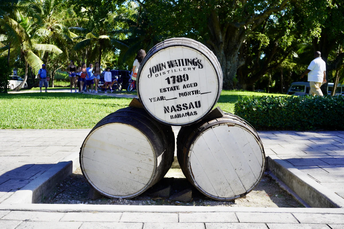 Rum barrels at a Caribbean distillery