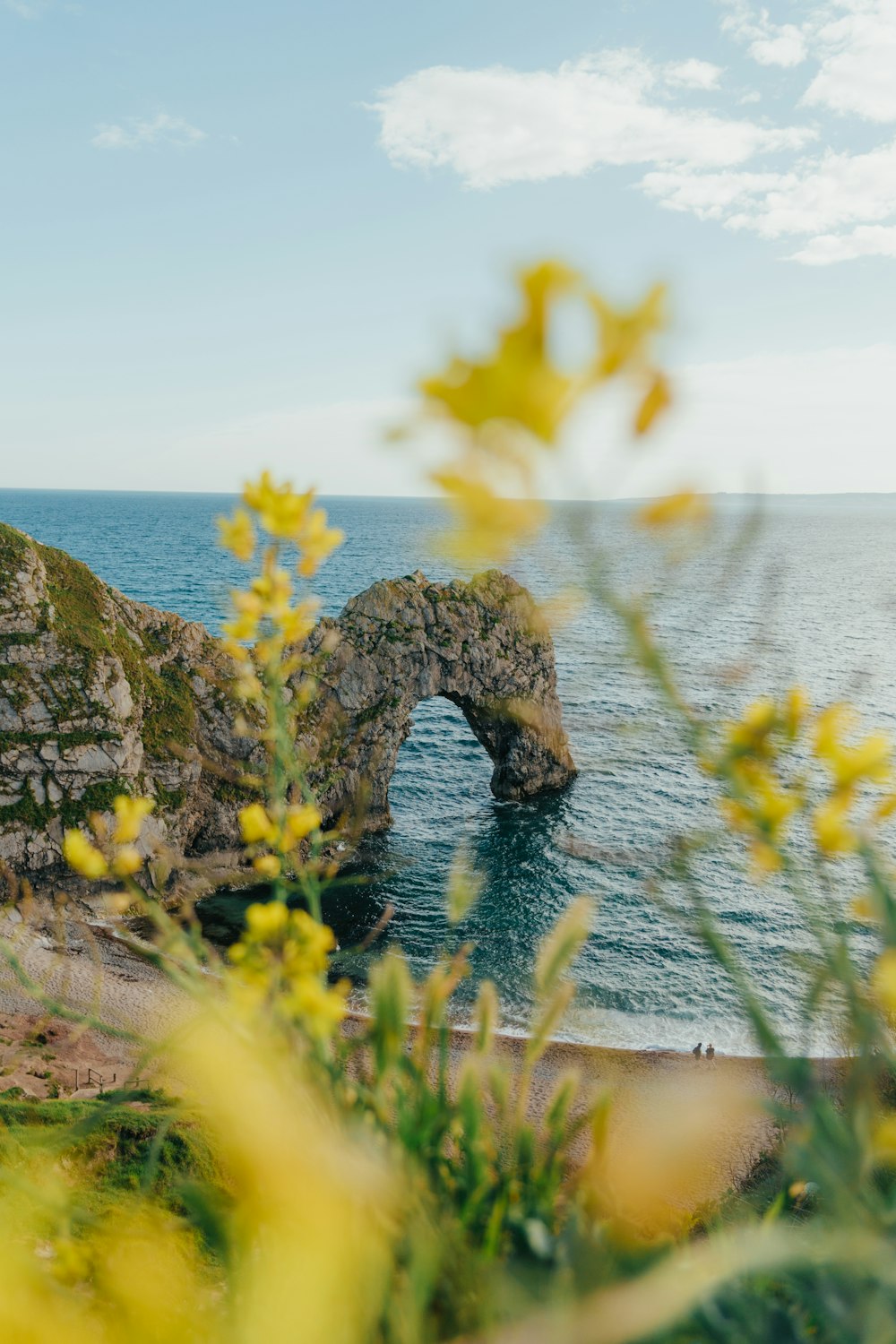 a view of a body of water with a bridge in the middle of it