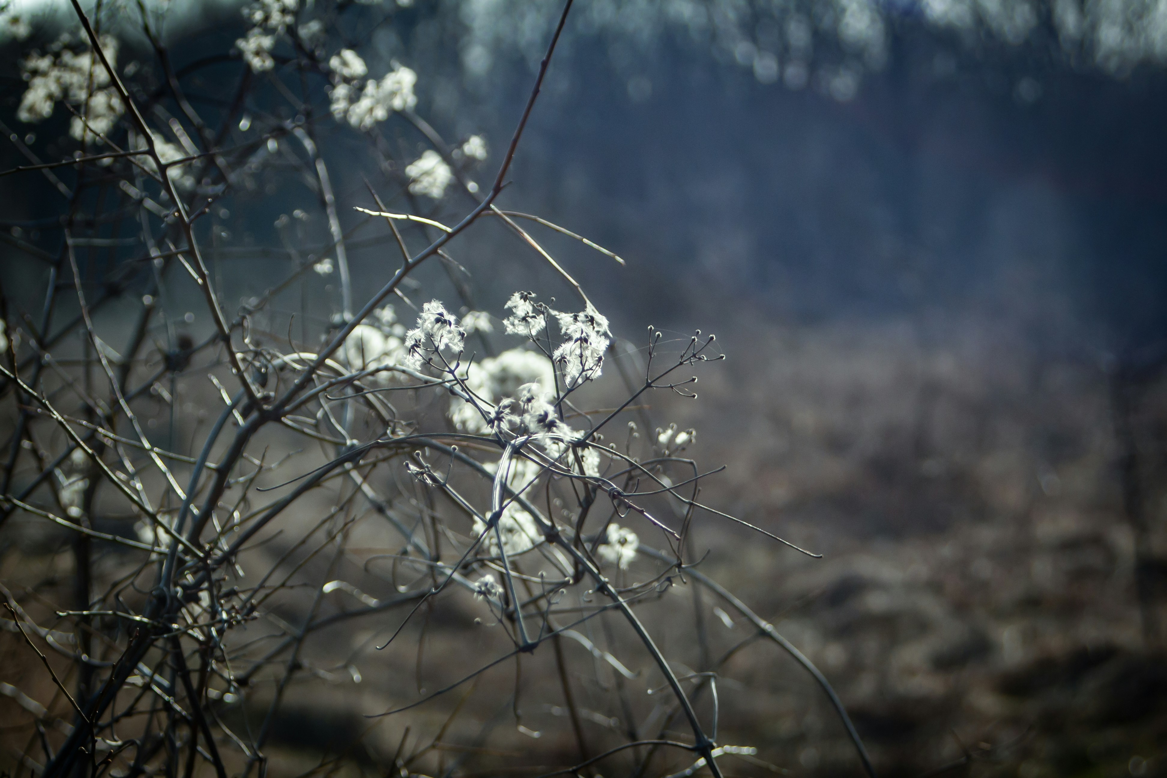 Photo by mimiivanova04