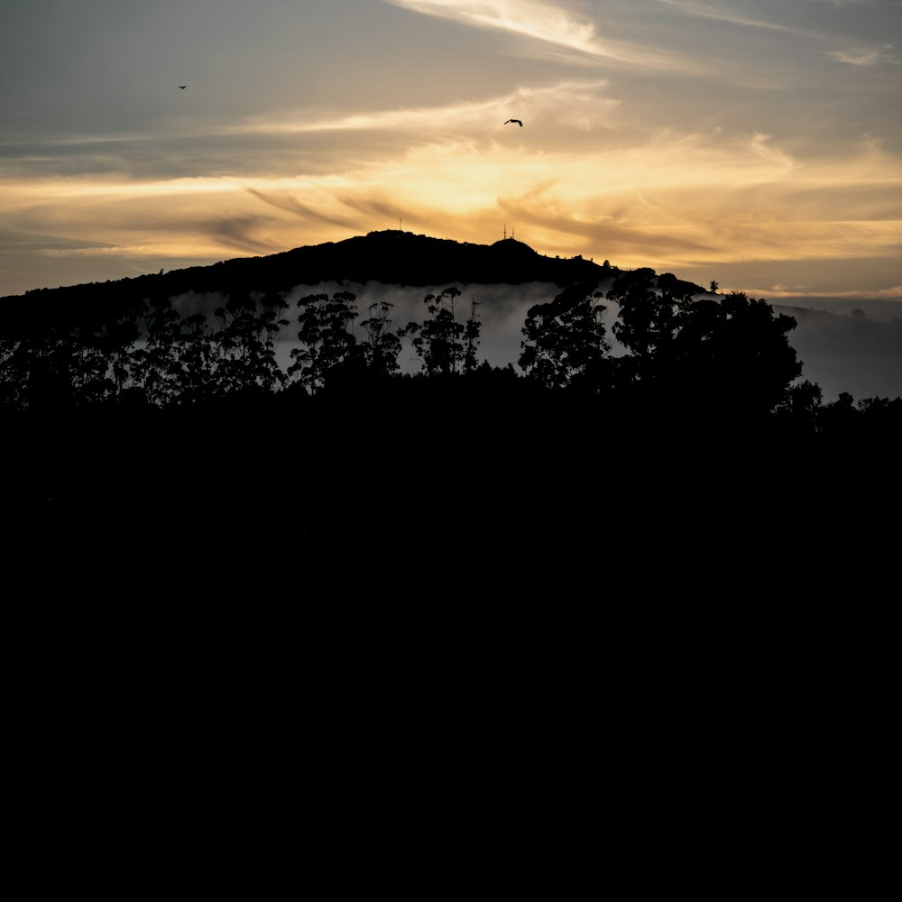 the sun is setting over a hill with trees