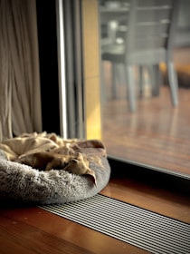 A small dog is laying on a plush, circular bed next to a large sliding glass door. The room is illuminated with natural light filtering through the glass, highlighting the wooden floor and the cozy atmosphere. Outside, a blurred view of chairs and a deck is visible.