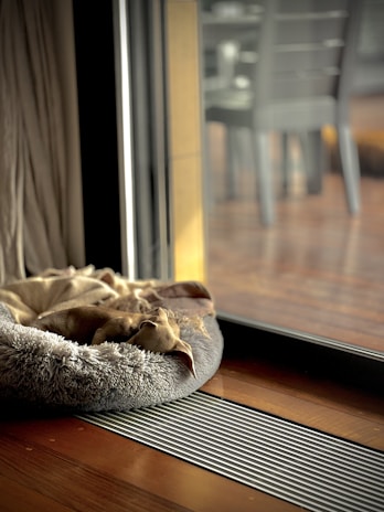 A small dog is laying on a plush, circular bed next to a large sliding glass door. The room is illuminated with natural light filtering through the glass, highlighting the wooden floor and the cozy atmosphere. Outside, a blurred view of chairs and a deck is visible.