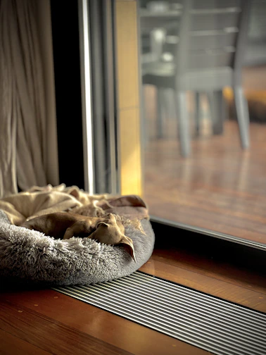 Cozy wooden dog house nestled in a sunny backyard with soft bedding inside.