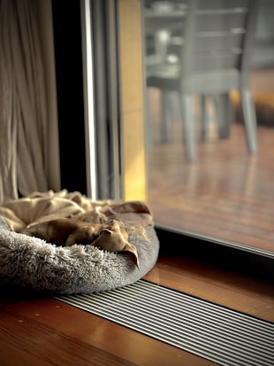 A small dog is laying on a plush, circular bed next to a large sliding glass door. The room is illuminated with natural light filtering through the glass, highlighting the wooden floor and the cozy atmosphere. Outside, a blurred view of chairs and a deck is visible.