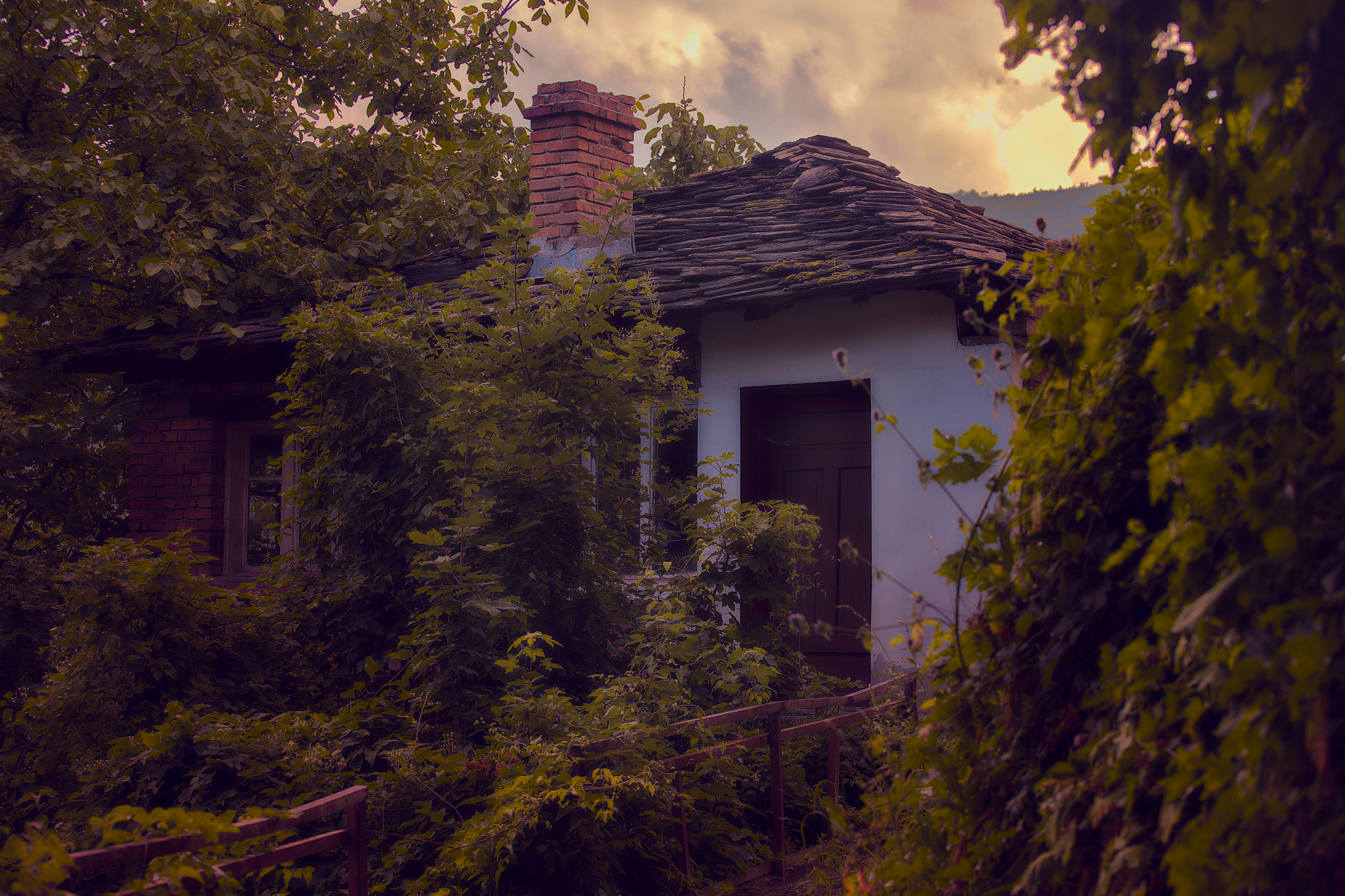 Photo by blooddrainer