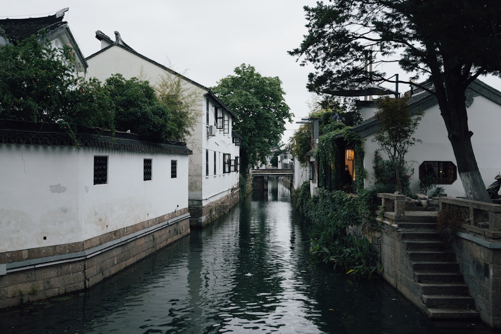 a river running between two buildings next to trees