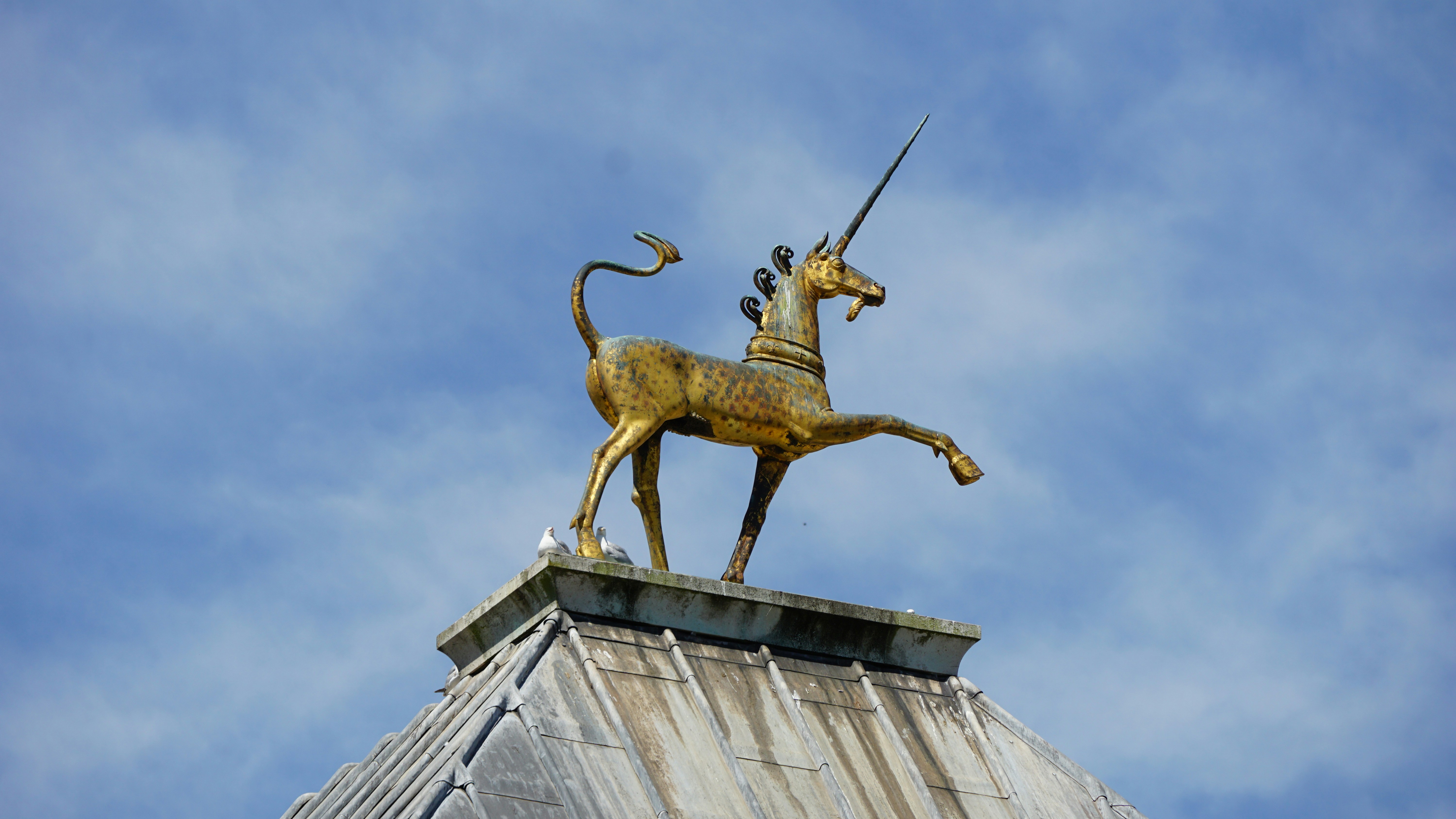 Photo by juddobscure