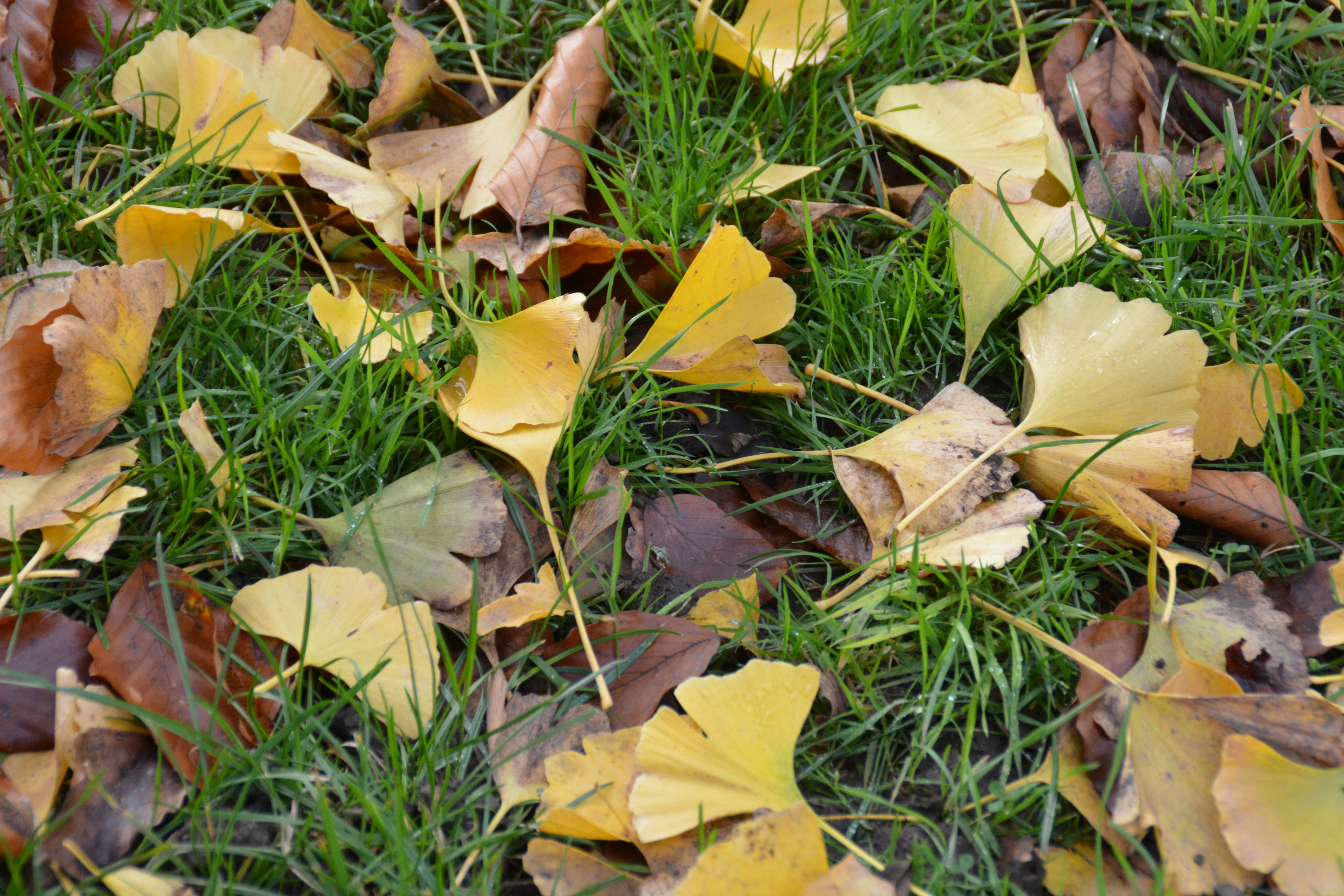 Photo by juddobscure