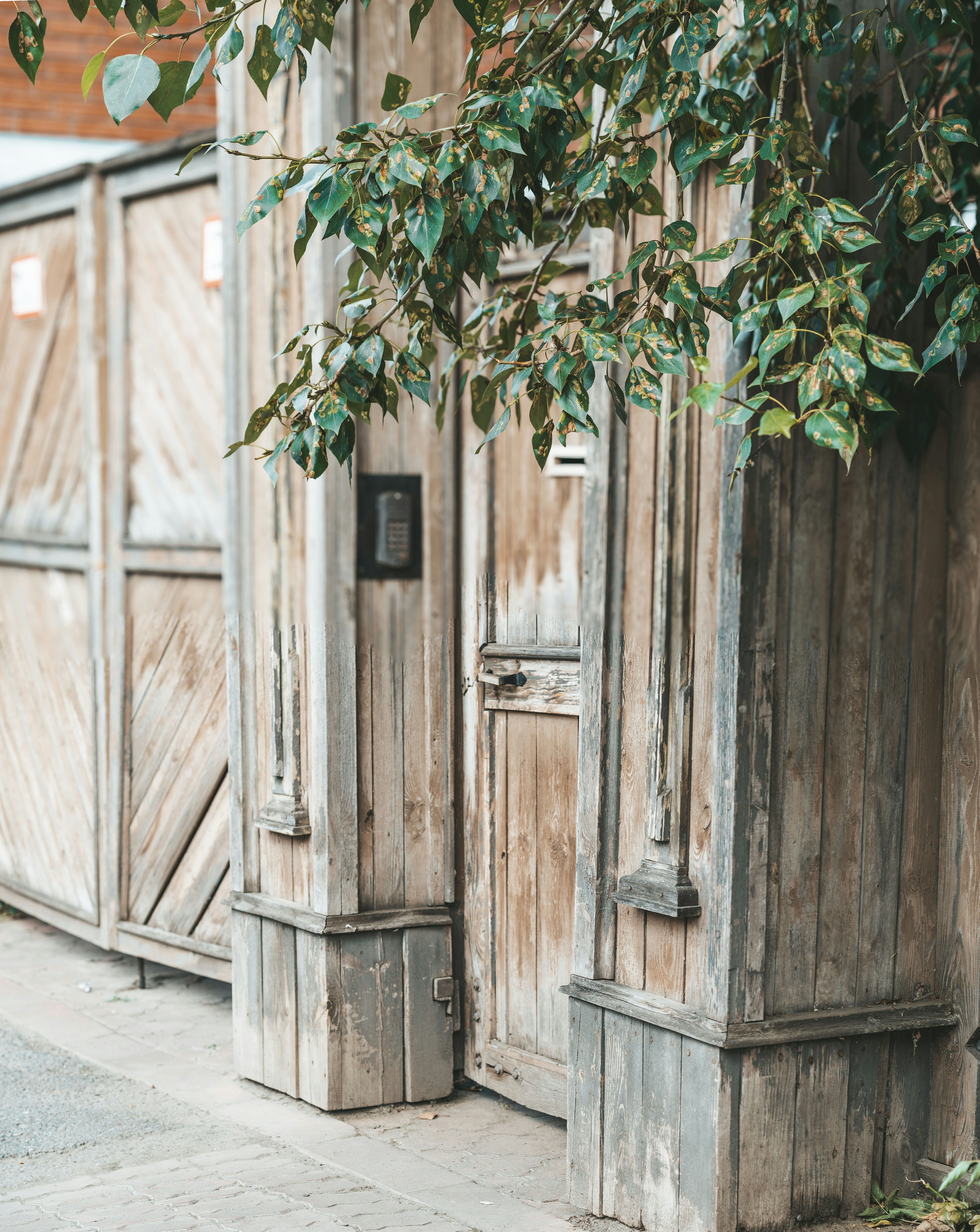 Photo by anamnesis33