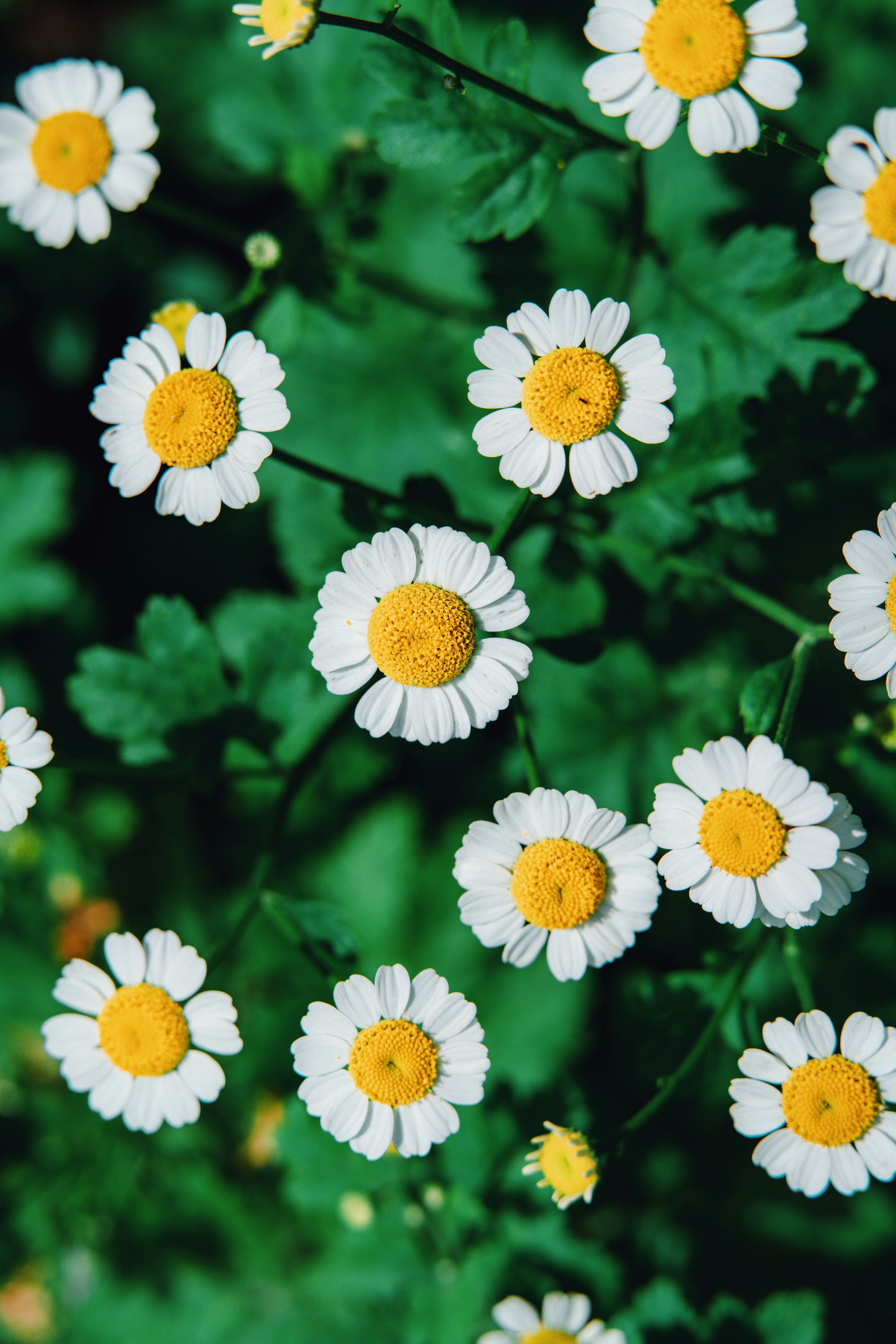 Photo by anamnesis33