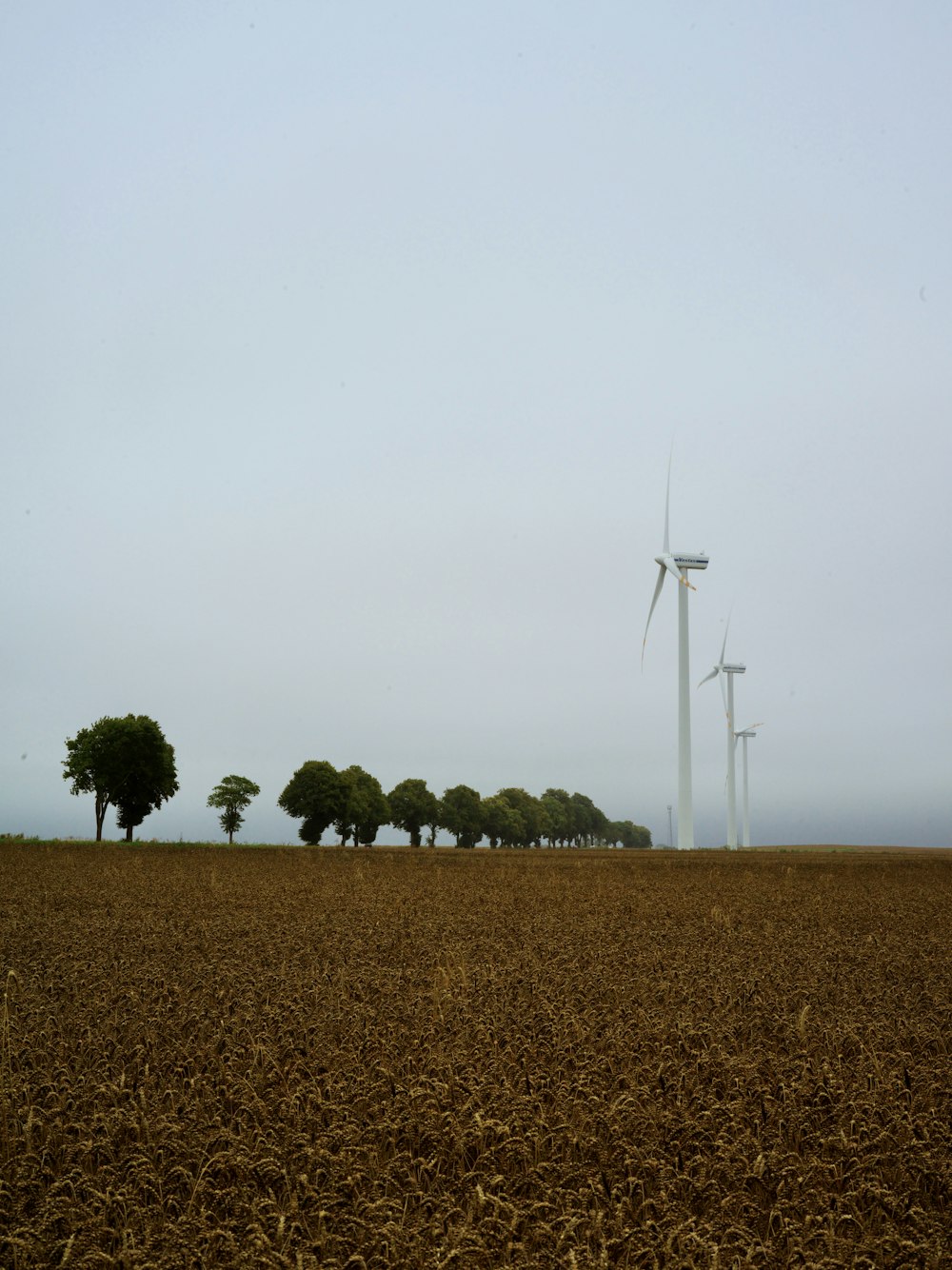 a field with several wind mills in the distance