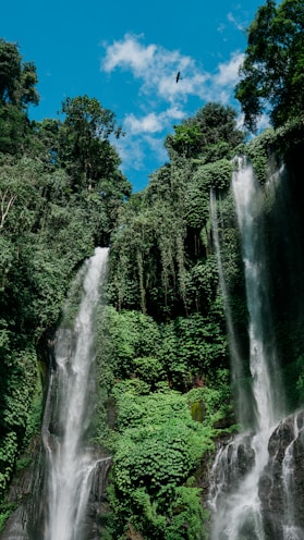 a group of people standing in front of a waterfall