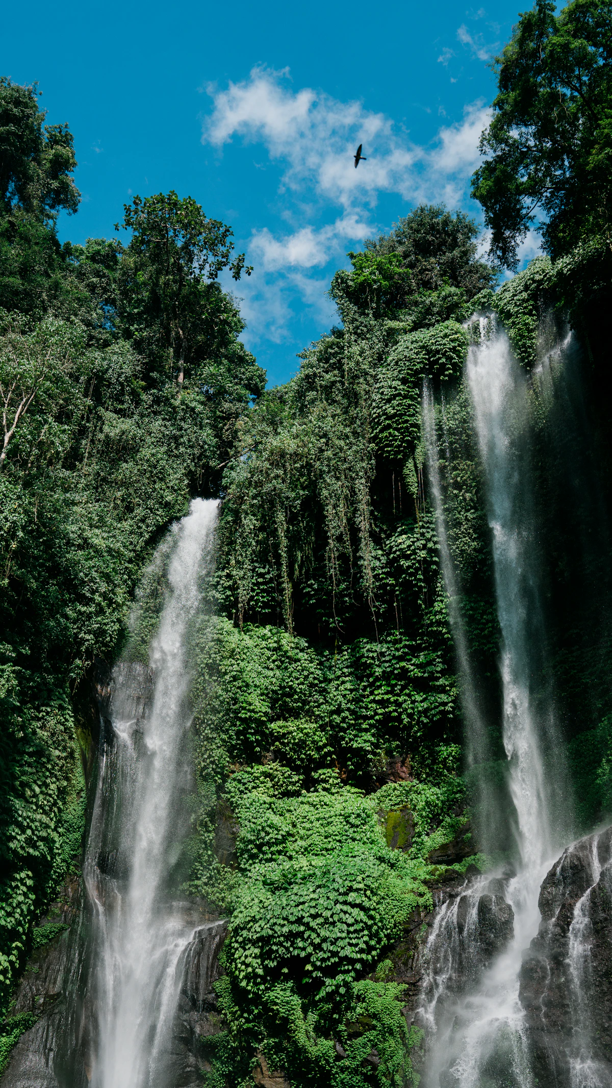Twin jungle cascades plunging into an untamed tropical ravine at Sekumpul