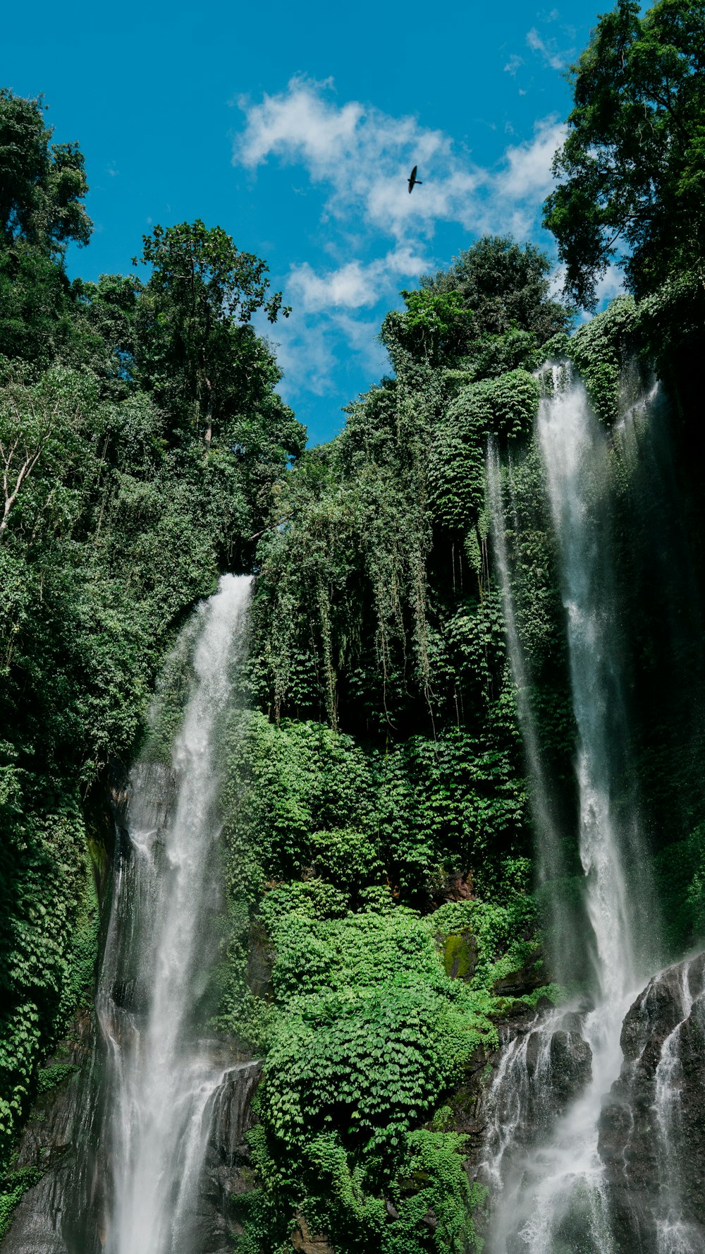 a group of people standing in front of a waterfall