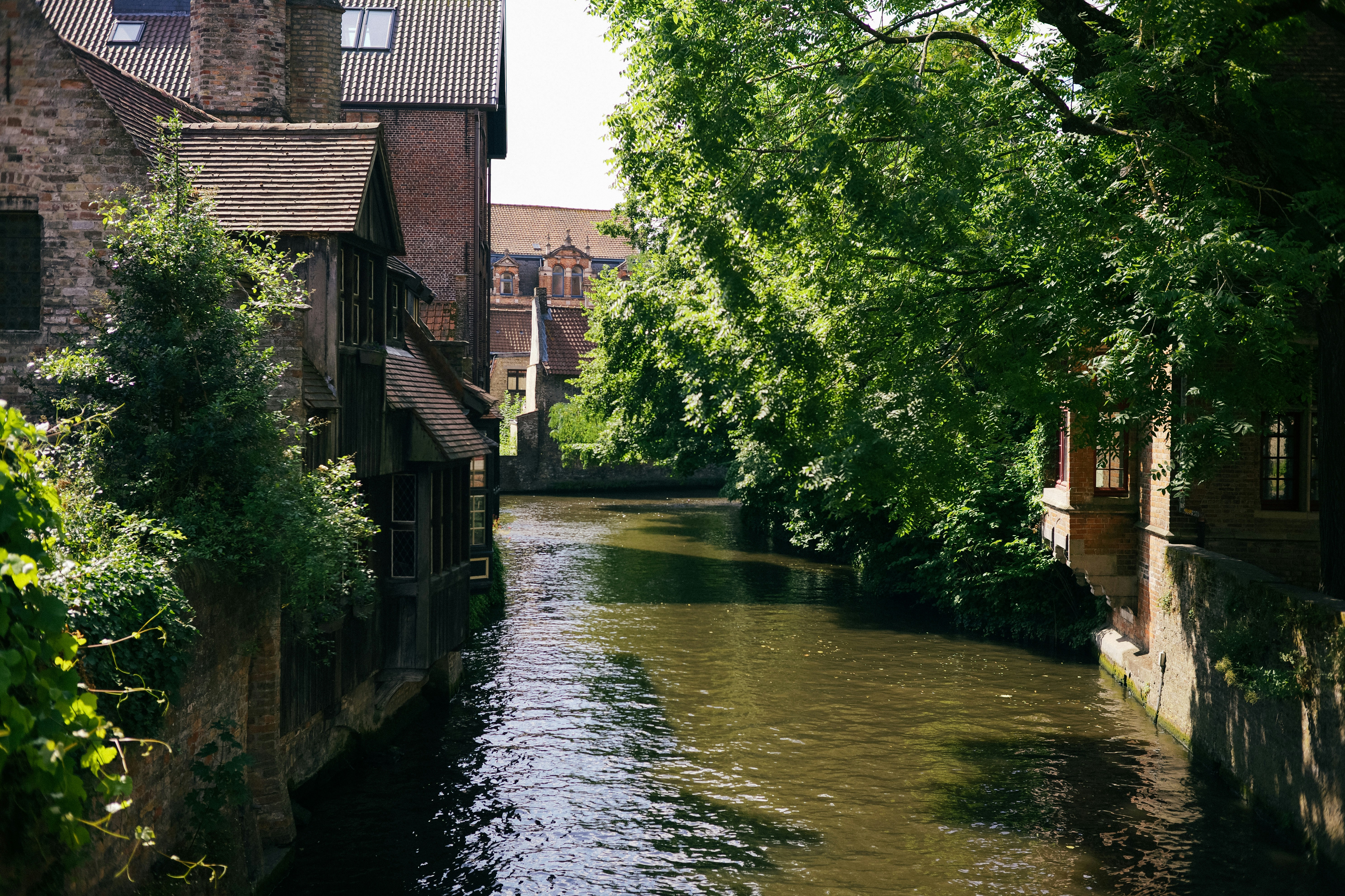 Photo by joshwilburne