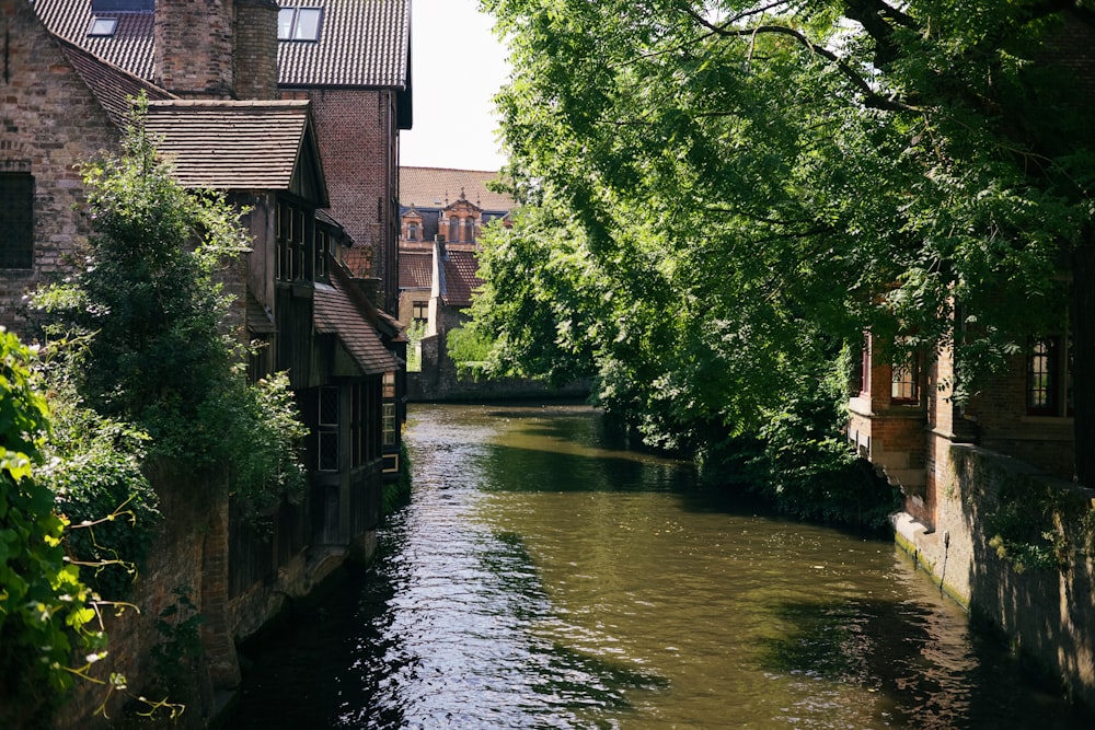 a river running through a small town surrounded by trees