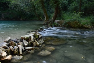 Gentle flowing river symbolizing calm progress and steady movement forward.