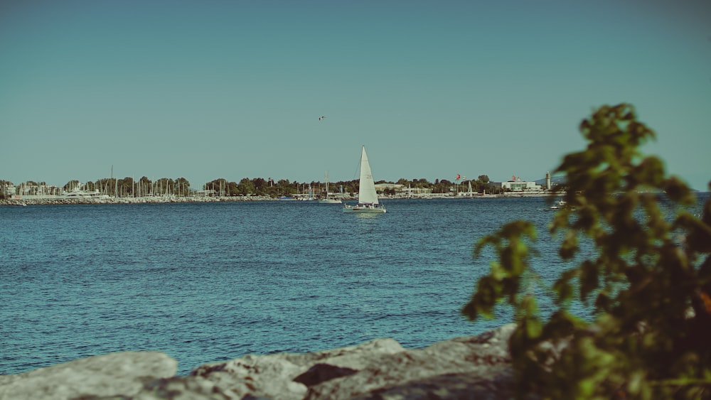 a sailboat on the water with a city in the background