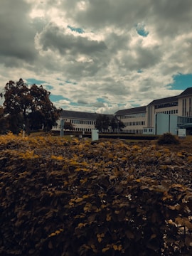 A large building complex with multiple windows is situated behind a dense hedge. In the foreground, there is lush vegetation with various shrubs and a tree. The sky above is cloudy with patches of blue peeking through.