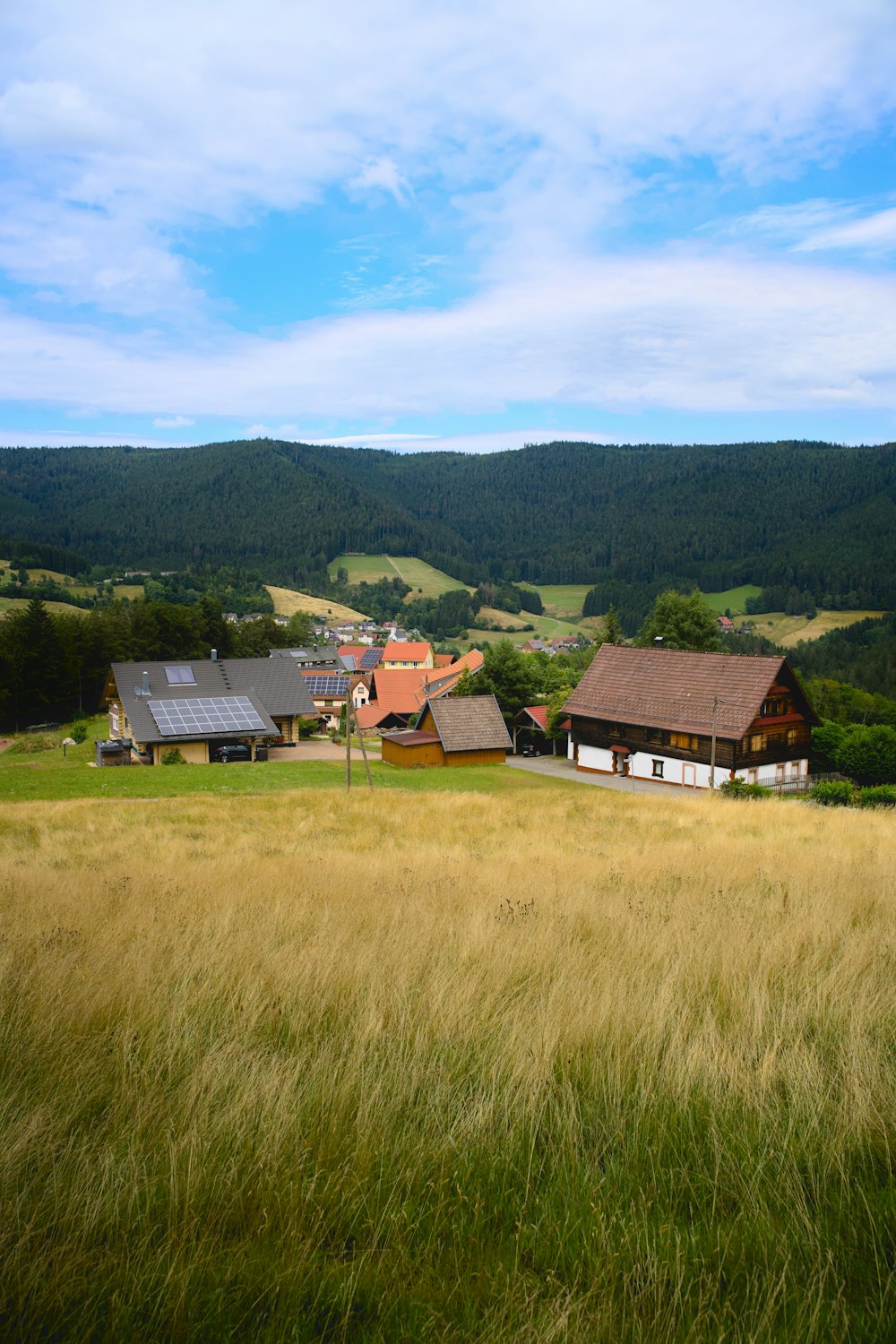 a grassy field with houses in the background