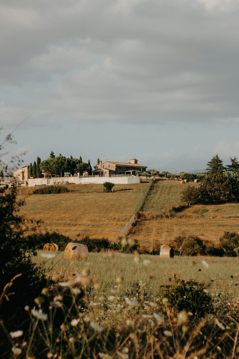 a field with animals grazing in it and a house in the background