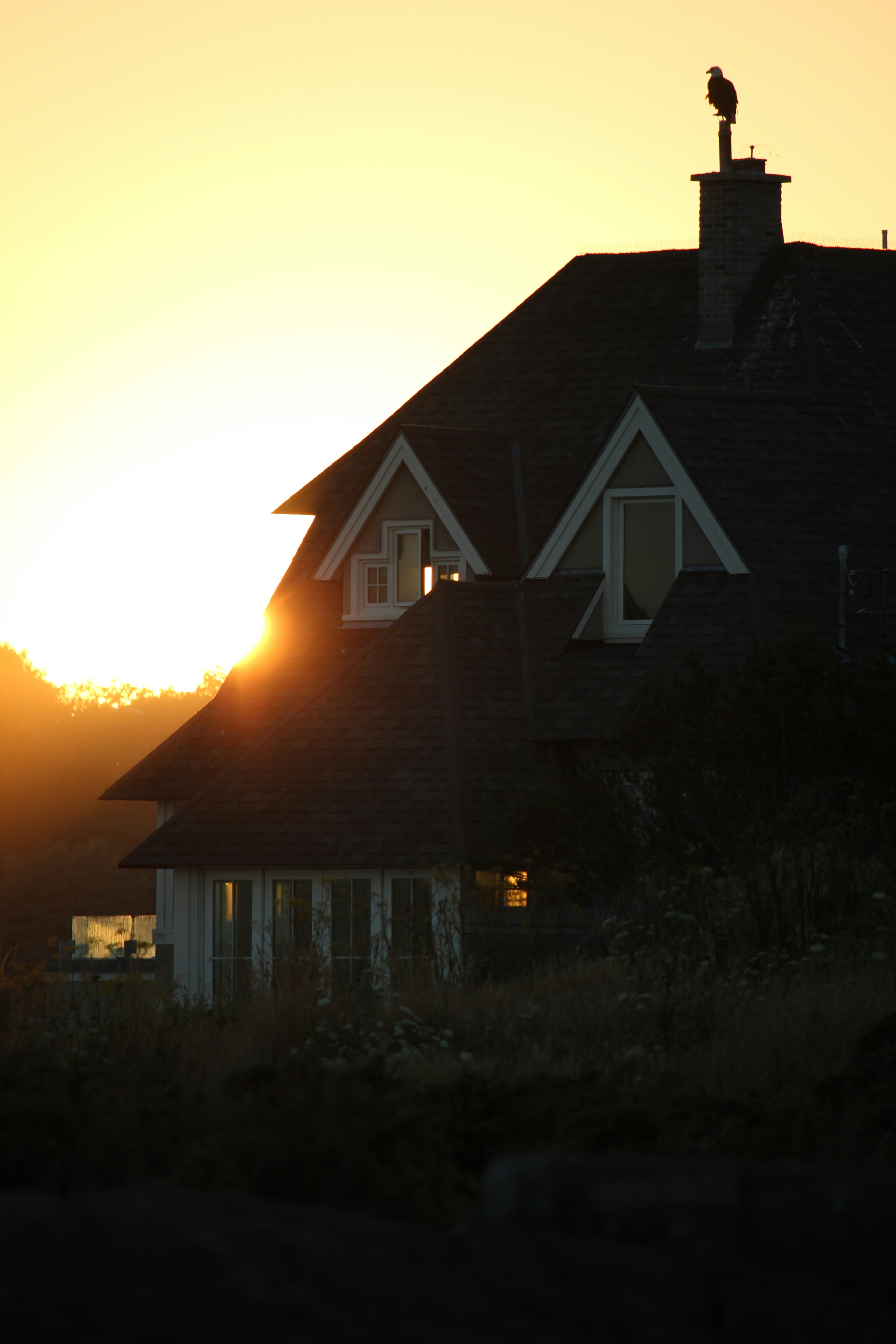 Photo by framesofritu