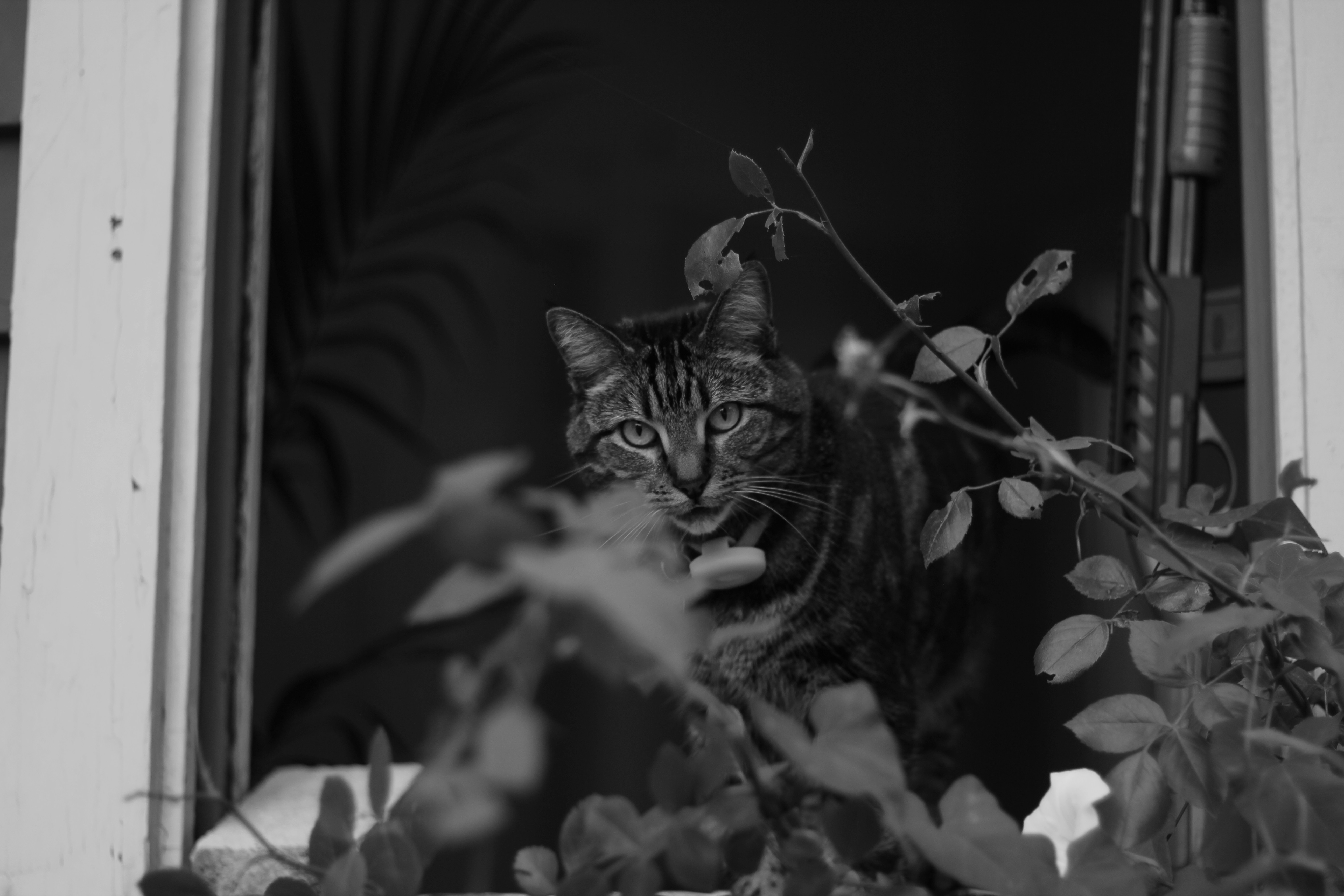 Photo by framesofritu