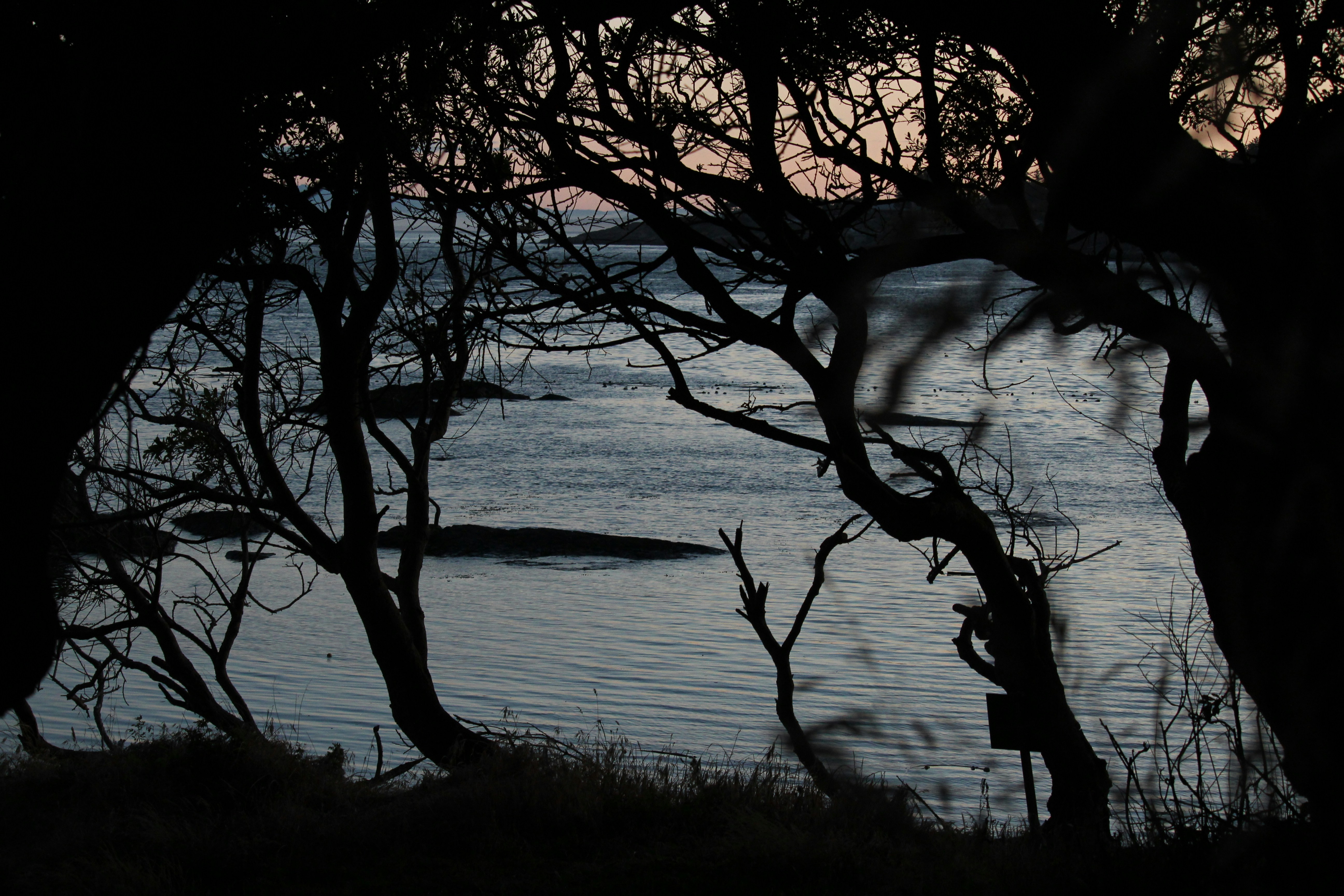 Photo by framesofritu