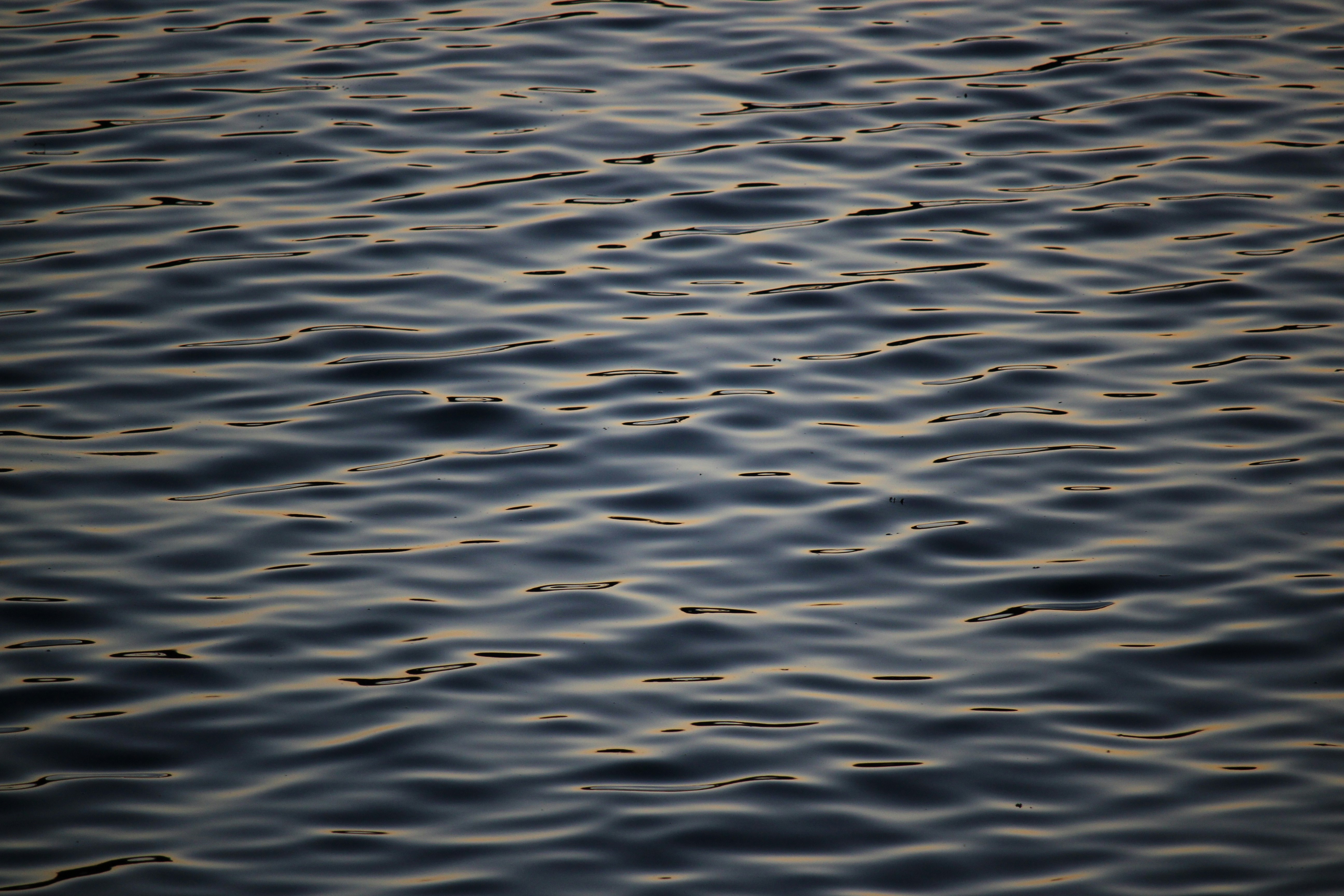 Photo by framesofritu