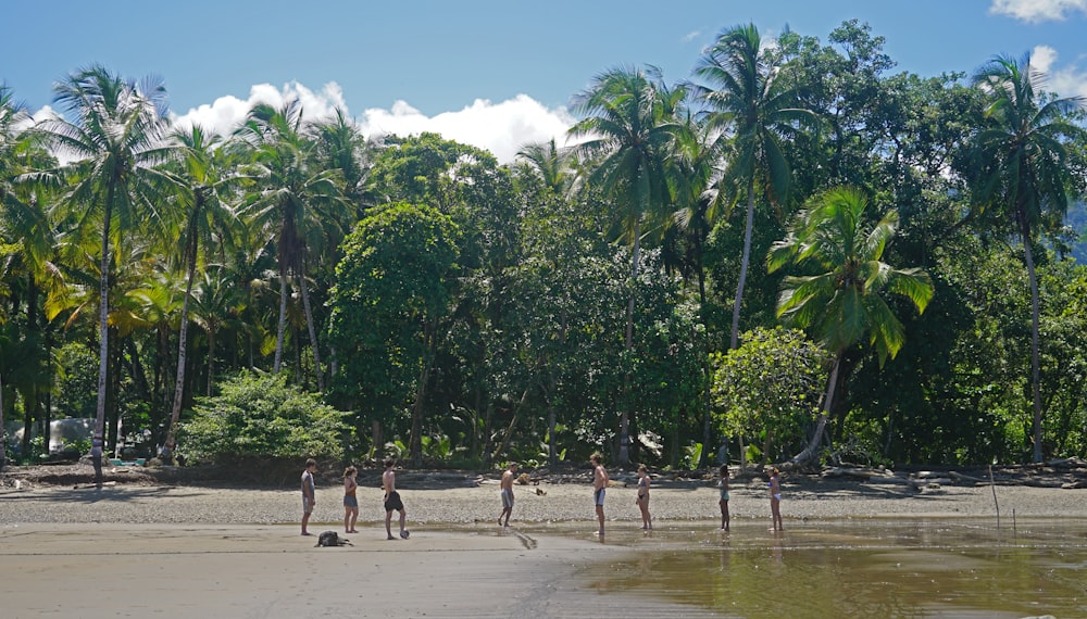 a group of people standing on top of a sandy beach