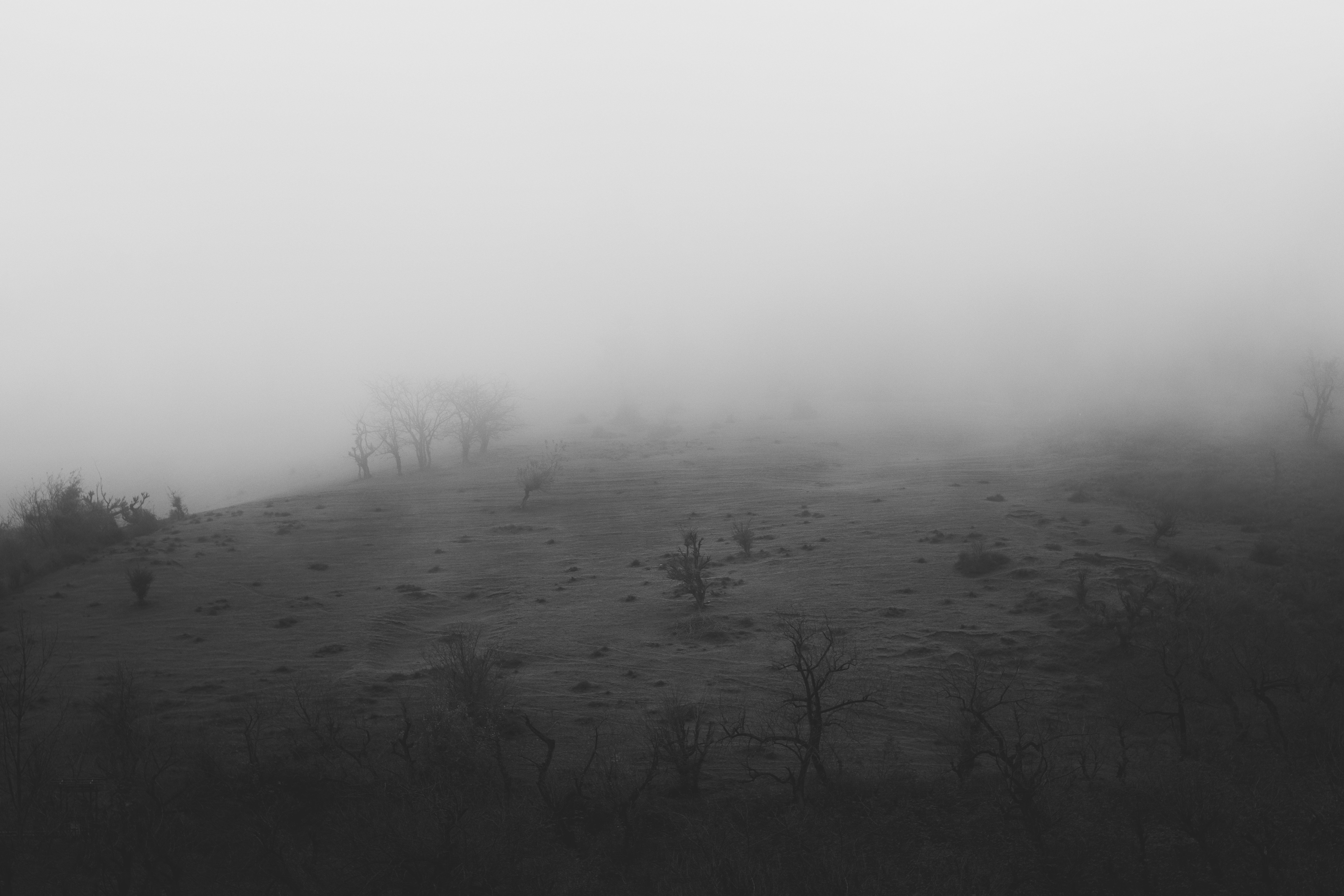 Photo by mahdibafande