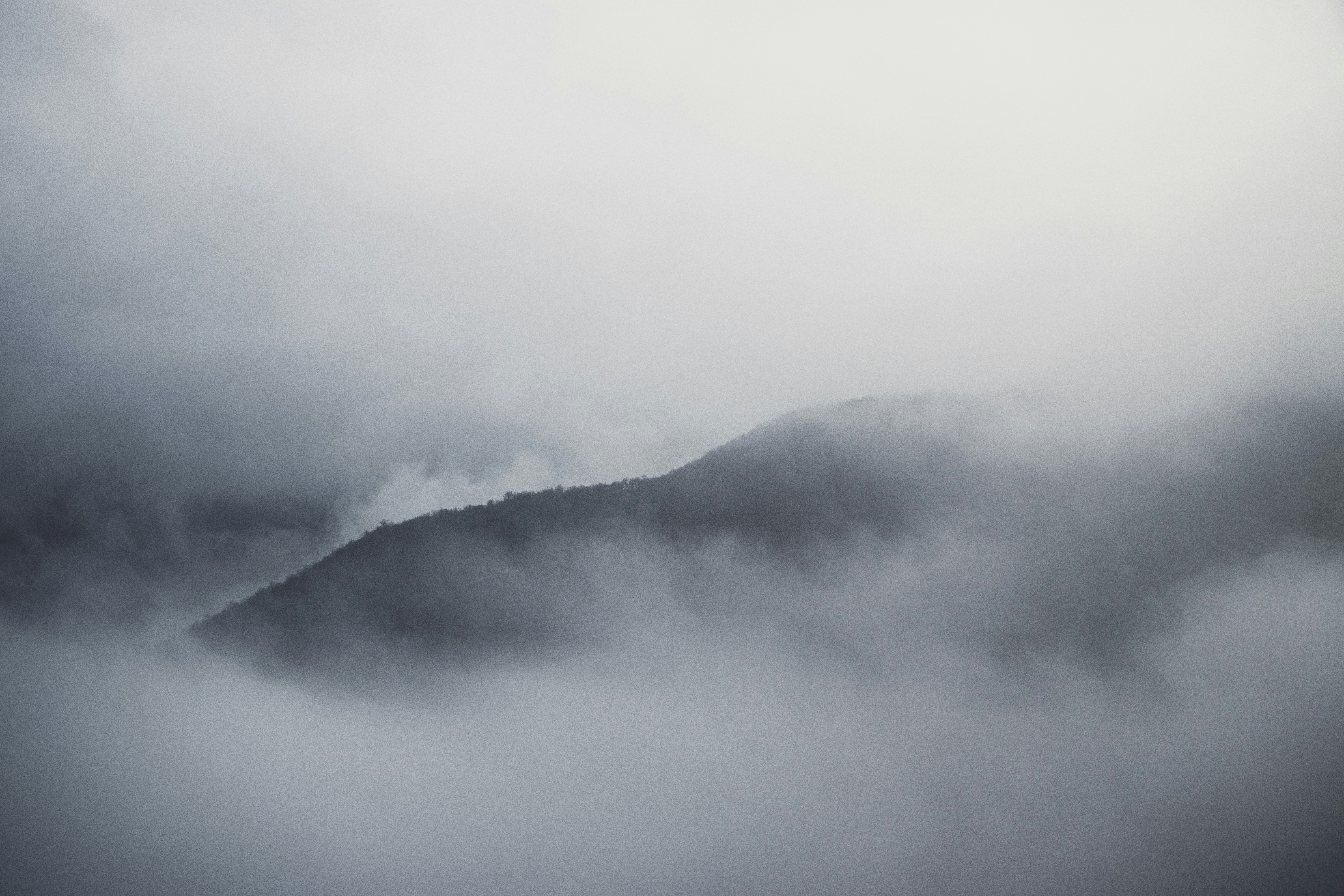 Photo by mahdibafande