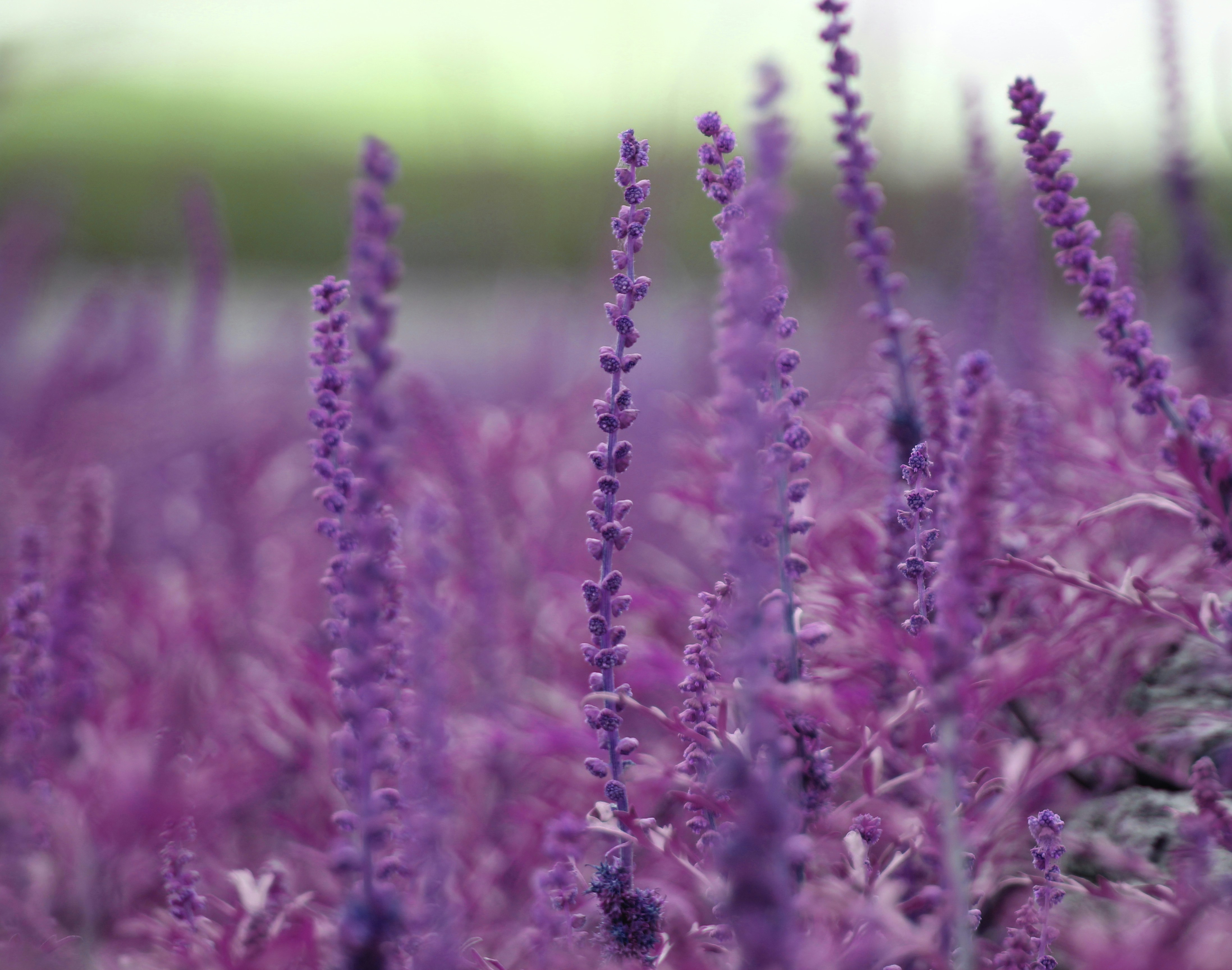 Photo by photoswithgabe