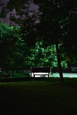 Nighttime shot of a vertipad illuminated with safety lights and surrounded by green spaces.