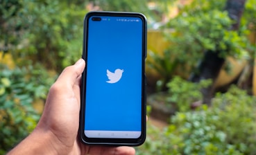 A hand holding a smartphone displaying the Twitter logo on a blue screen. The background consists of a lush, green outdoor setting with various plants.