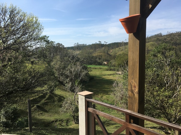 A serene view of the green hills surrounding the durian garden.