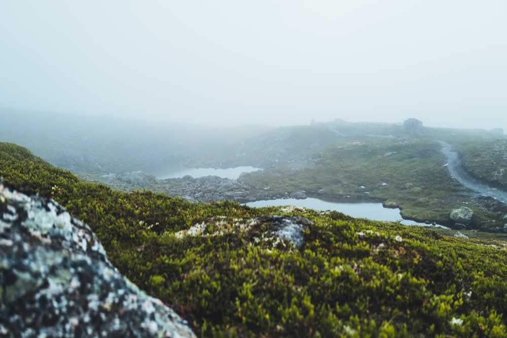 a foggy day on a grassy hill with a river in the distance