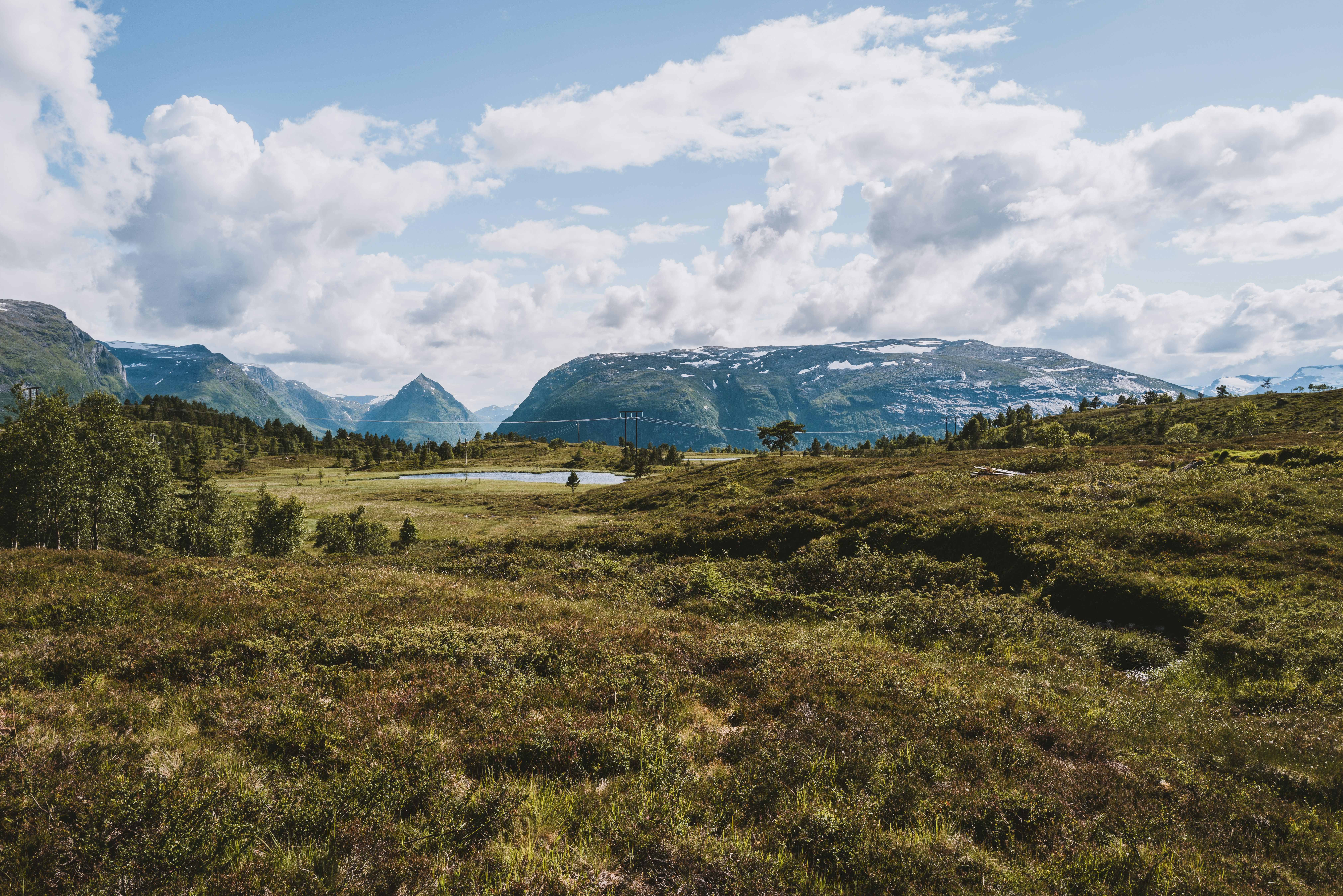 Photo by timonreinhard