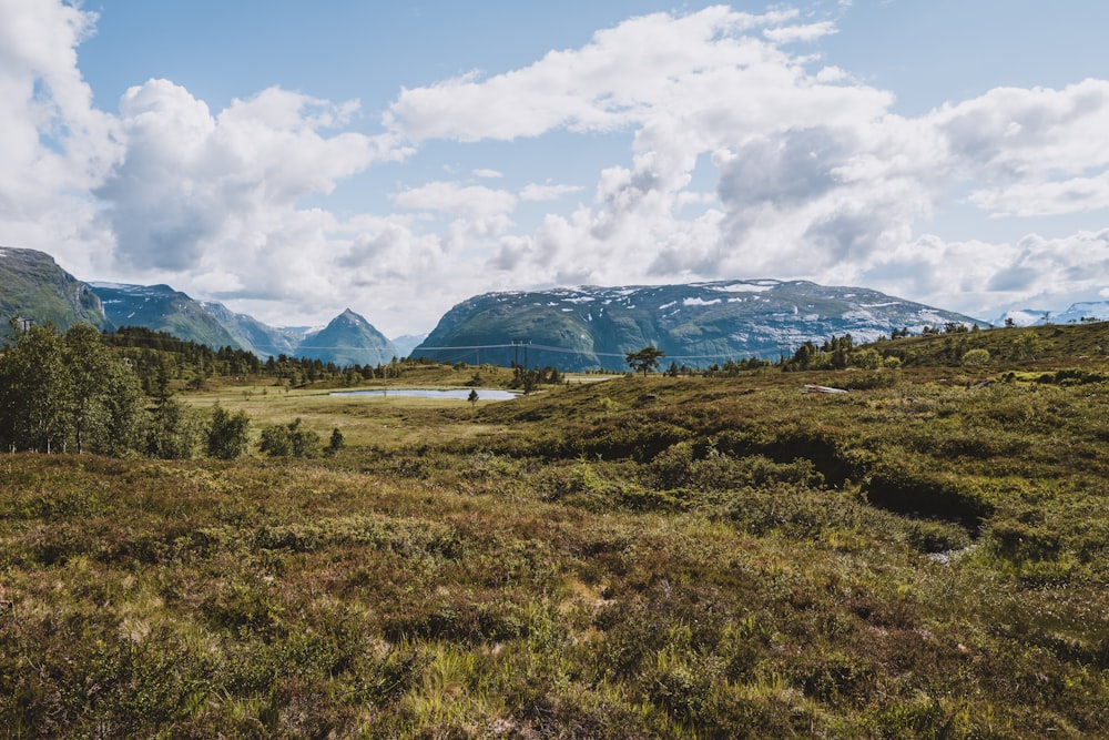 a grassy field with mountains in the background