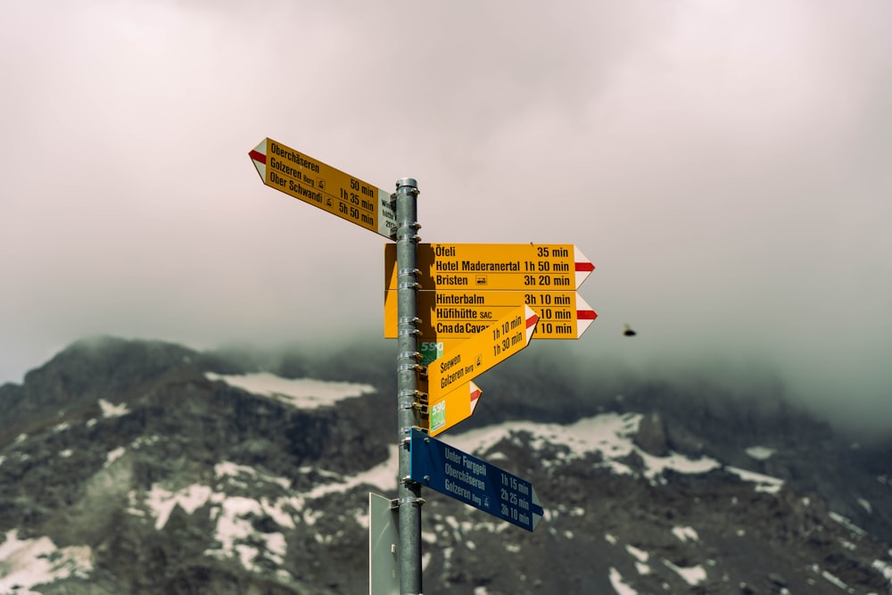 a pole with a bunch of signs on top of it