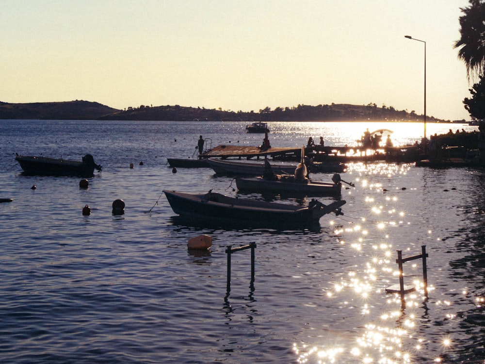 a number of small boats in a body of water