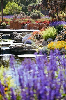 A beautifully landscaped garden with vibrant flower beds in shades of red, purple, and yellow surrounding a peaceful pond. A waterfall flows into the pond, bordered by rocks. Wooden furniture, including chairs and a table, is arranged on a patio, offering a place to relax and enjoy the scenery. Lush greenery and trees add to the tranquil atmosphere.