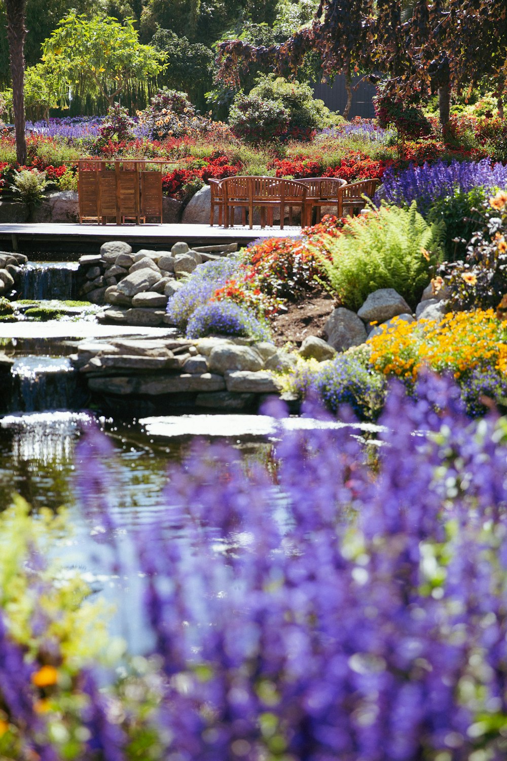 a garden filled with lots of flowers next to a pond