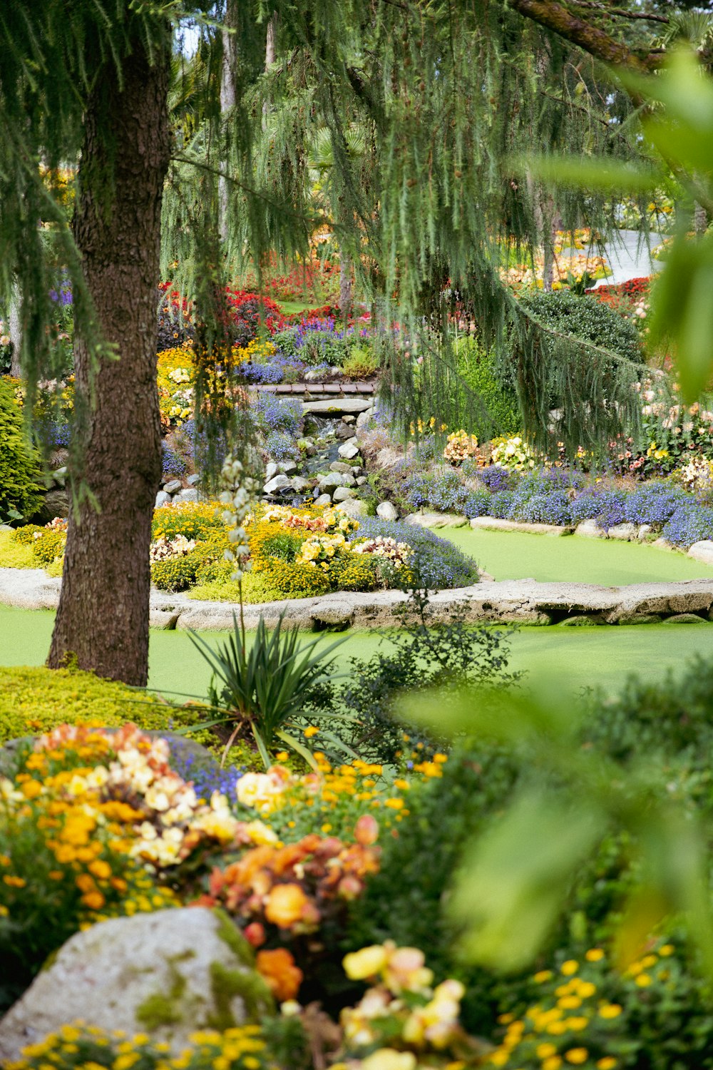 a lush green park filled with lots of flowers